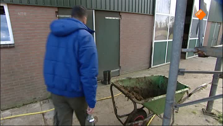 Huisje Boompje Beestje