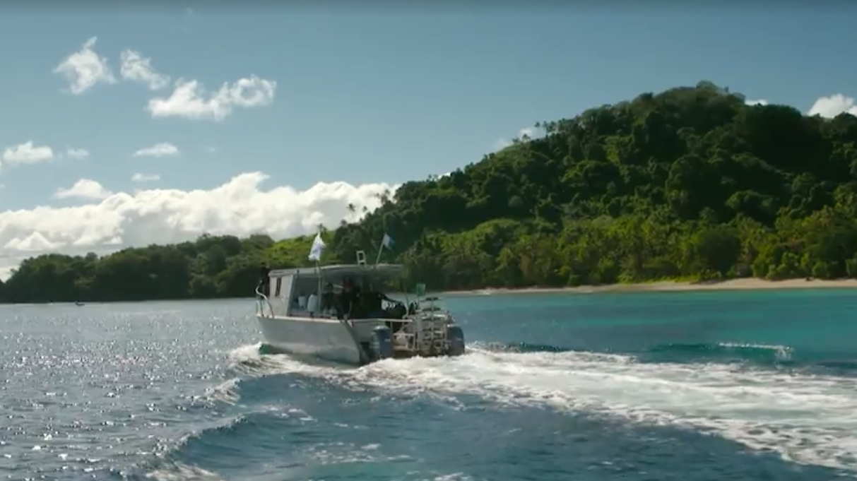 Zapp Your Planet | Expeditie HaaiAlarm