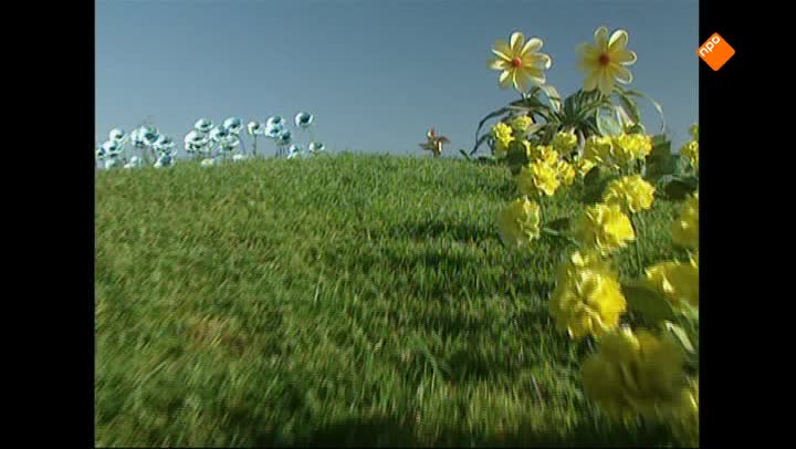 Teletubbies