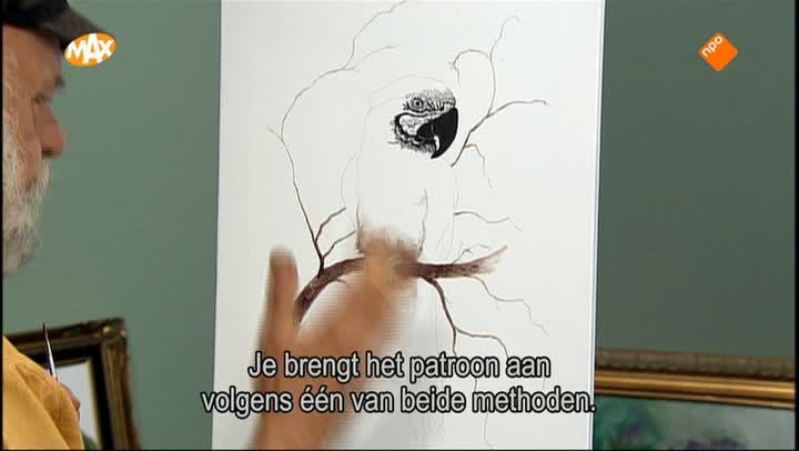 Blauwgouden Ara