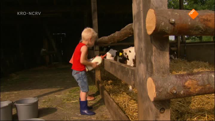 Kindertijd