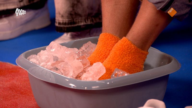 Zin in Zappelin
