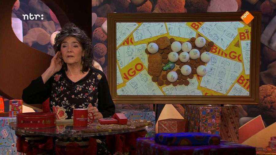 Het Sinterklaasjournaal