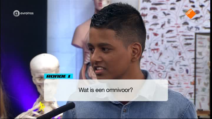 De Invaller