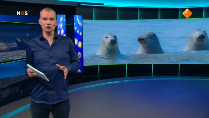 Het NOS Jeugdjournaal | NOS Jeugdjournaal