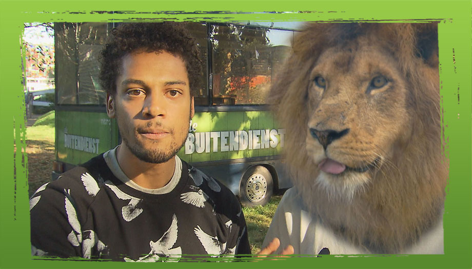 Welke dieren zijn nou echte superhelden?