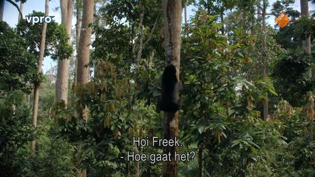 Maleisië - Twee gezichten van Borneo