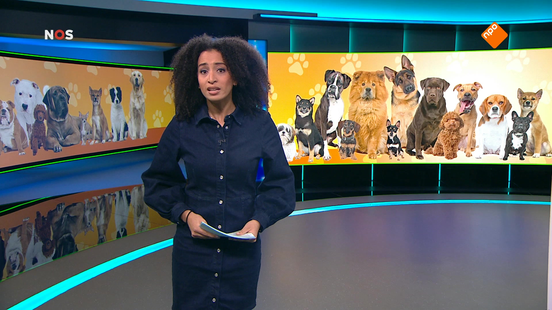 Het NOS Jeugdjournaal | NOS Jeugdjournaal