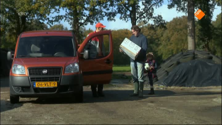 Sien van Sellingen