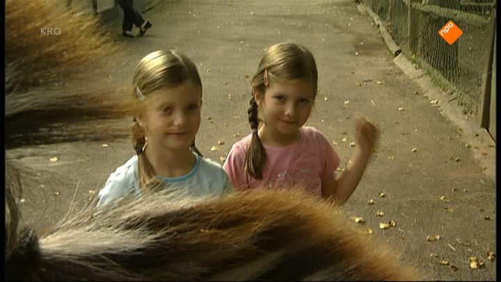 Kindertijd