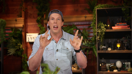 Freeks Jungle School | Vlinders
