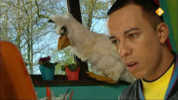 Huisje Boompje Beestje