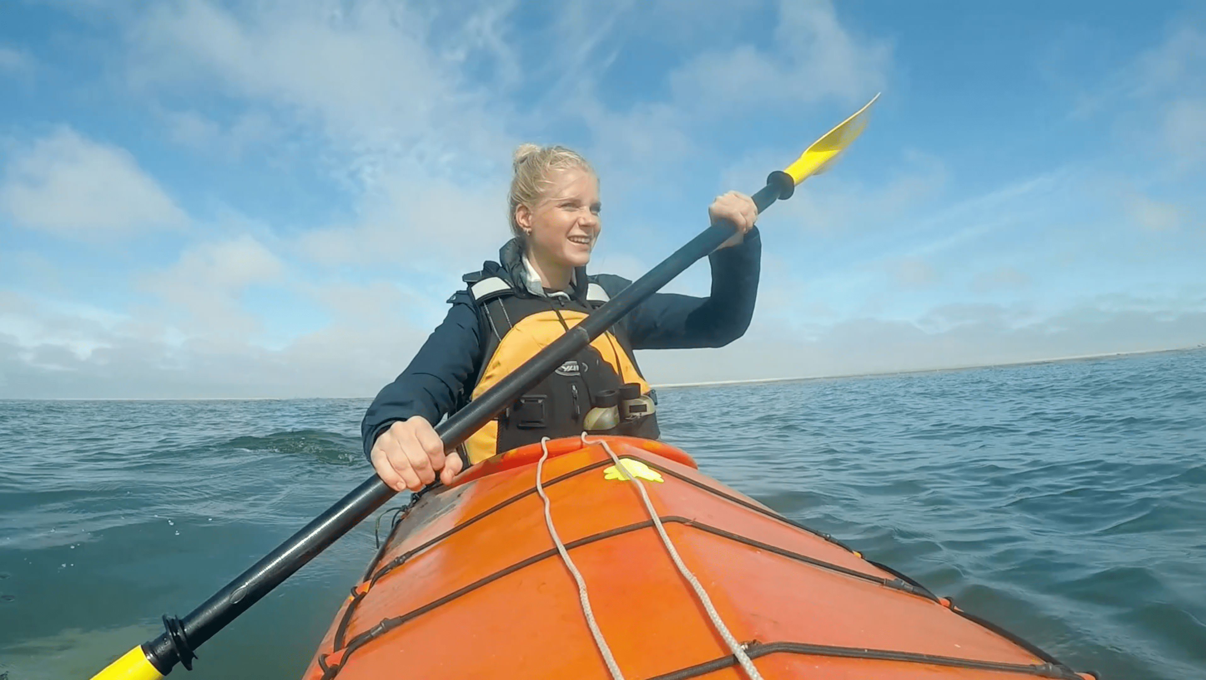 Het Klokhuis | Zeehonden