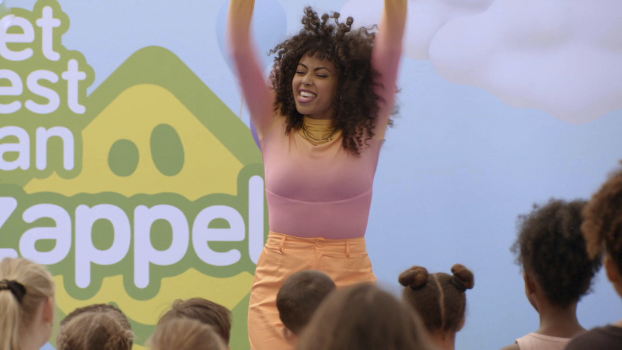 Het feest van Zappelin