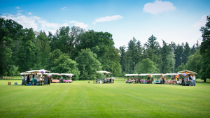 Braderie en bakkamp
