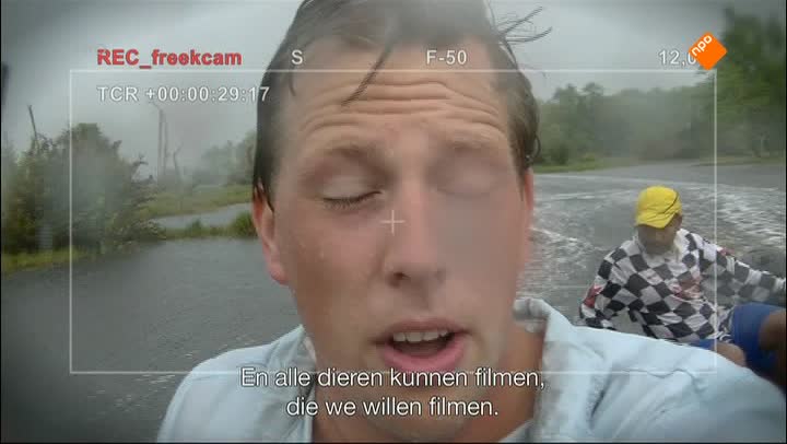 De lederschildpad en de vieroogvis