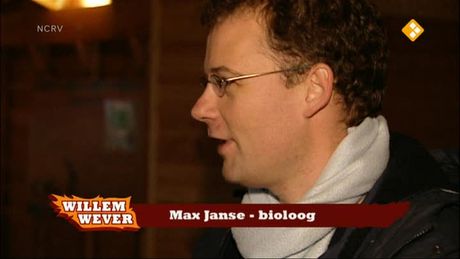 Willem Wever | Nacht in de dierentuin