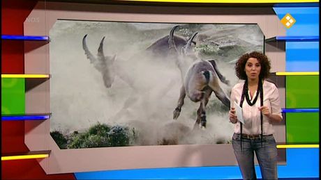NOS Weekoverzicht Jeugdjournaal