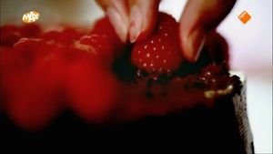 Oer-Hollands