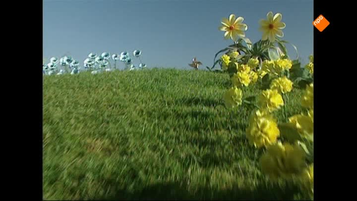 Teletubbies