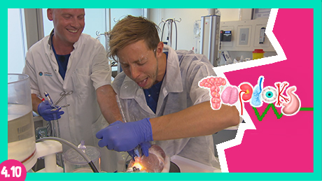 Topdoks