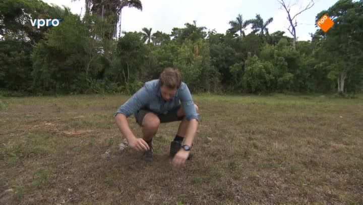 Belize - Onder de oppervlakte
