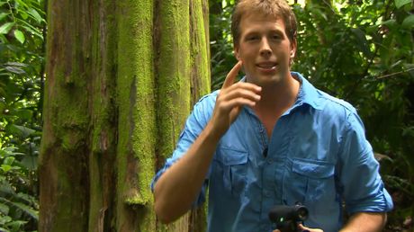 Freek in het wild | Op zoek naar de zweepspin