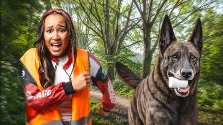 Taakstraf | Die hond is niet Barkie