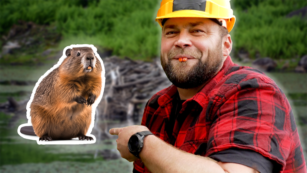 Bever