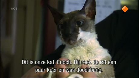 Het NOS Jeugdjournaal | NOS Jeugdjournaal