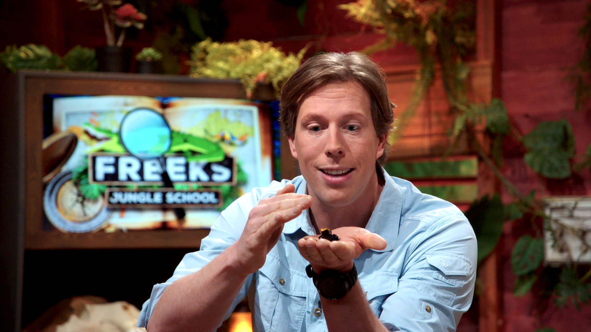 Freeks Jungle School | Pijlgifkikkers