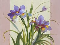 8. Nederlandse iris