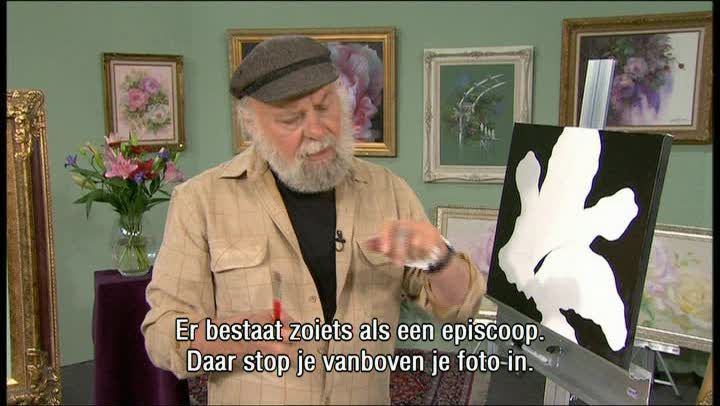 Stralende Lelie