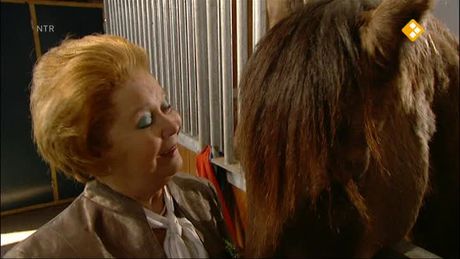 Het Klokhuis | Paardenkliniek