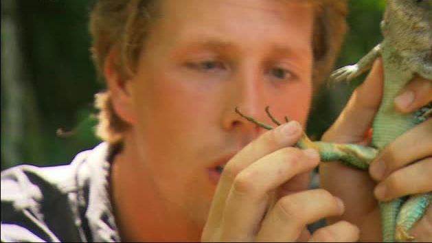 Freek in het wild | Vlot bouwen