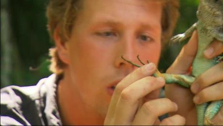 Freek in het wild | Vlot bouwen