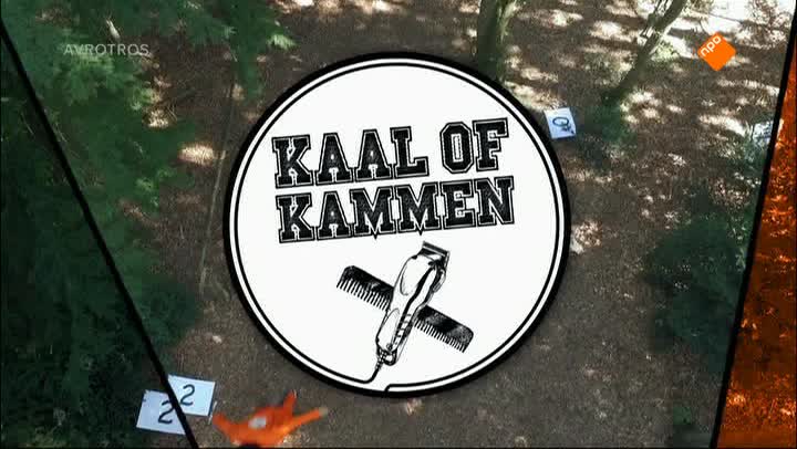 Kaal of Kammen | Dierenasiel
