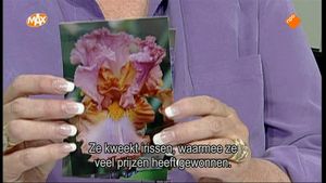 Lavendel en kant