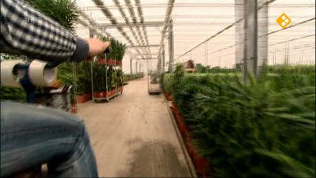 Het Klokhuis | Aardwarmte