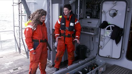 Duikteam en forensisch dieronderzoek