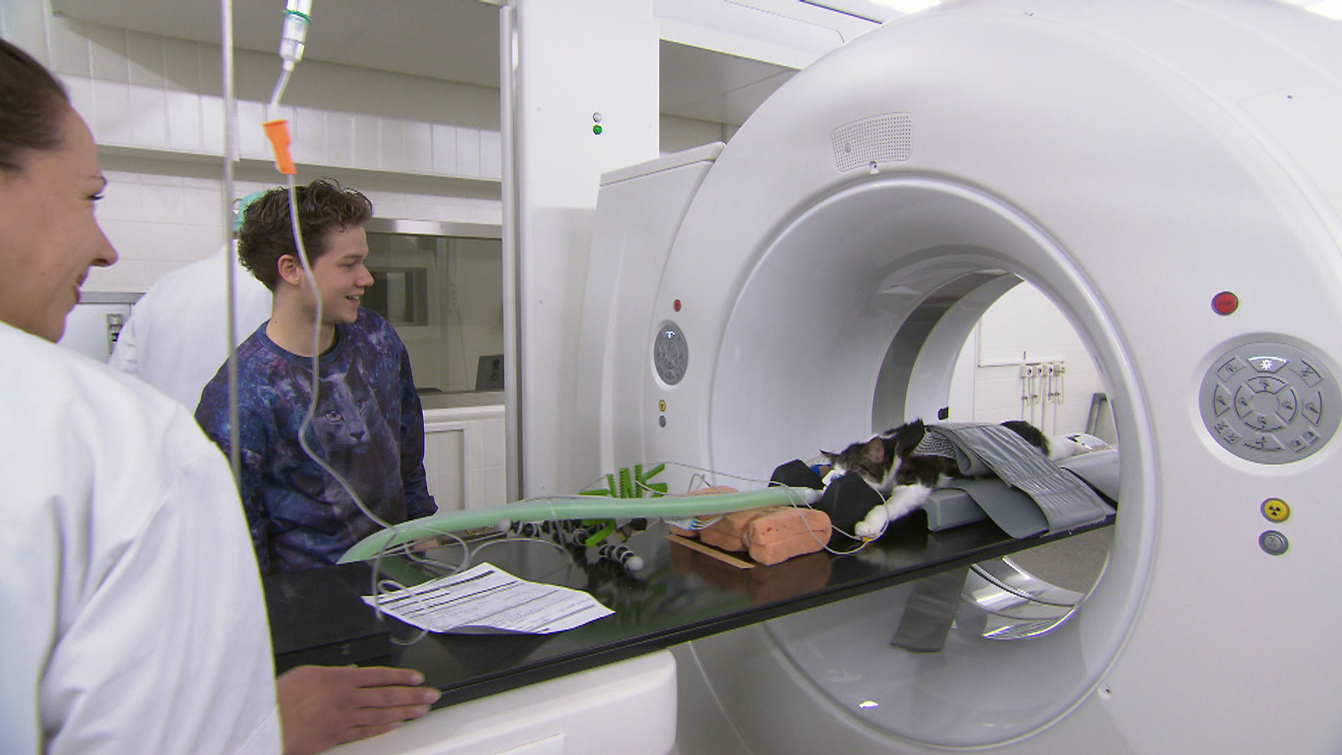 Het Klokhuis | Dierenziekenhuis