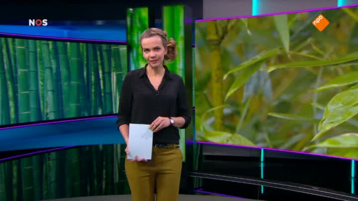 Het NOS Jeugdjournaal | NOS Jeugdjournaal