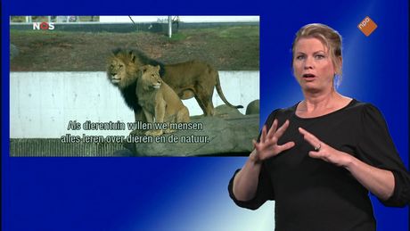 NOS Jeugdjournaal met gebarentaal