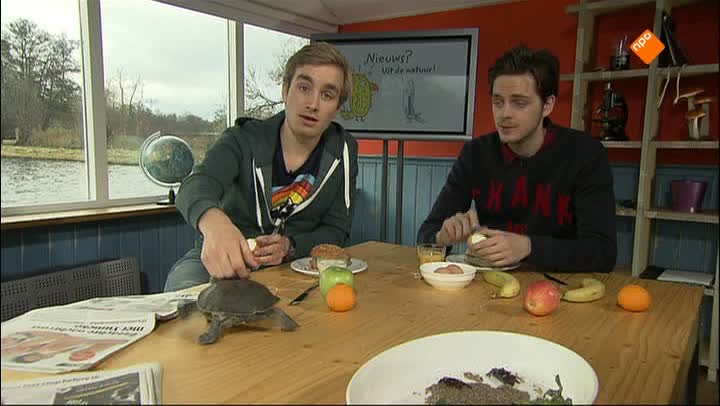 De Buitendienst  | Pantsers