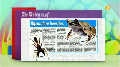 Het NOS Jeugdjournaal | NOS Jeugdjournaal