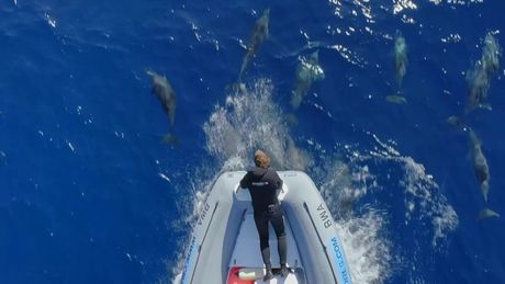 Freeks Wilde Wereld | Onderwaterreuzen