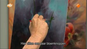 Fuchsia stokrozen