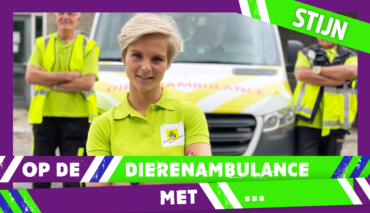 Op de dierenambulance met | Stijn Fransen