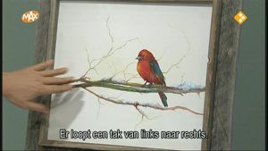 13. Vogel op een takje
