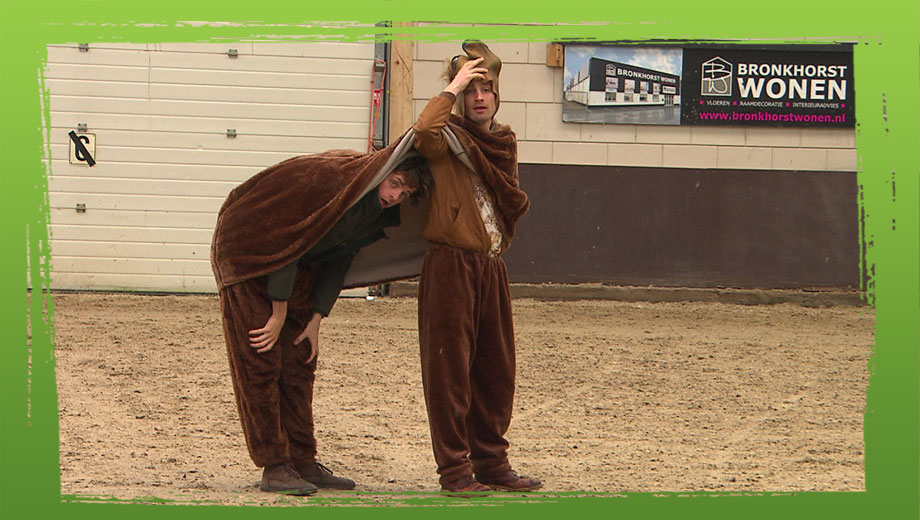De Buitendienst  | Paarden